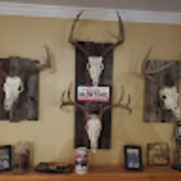 Meet your Posher, Rolland - Picture 1 of 1